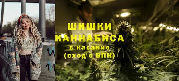 PSILOCYBIN Алзамай